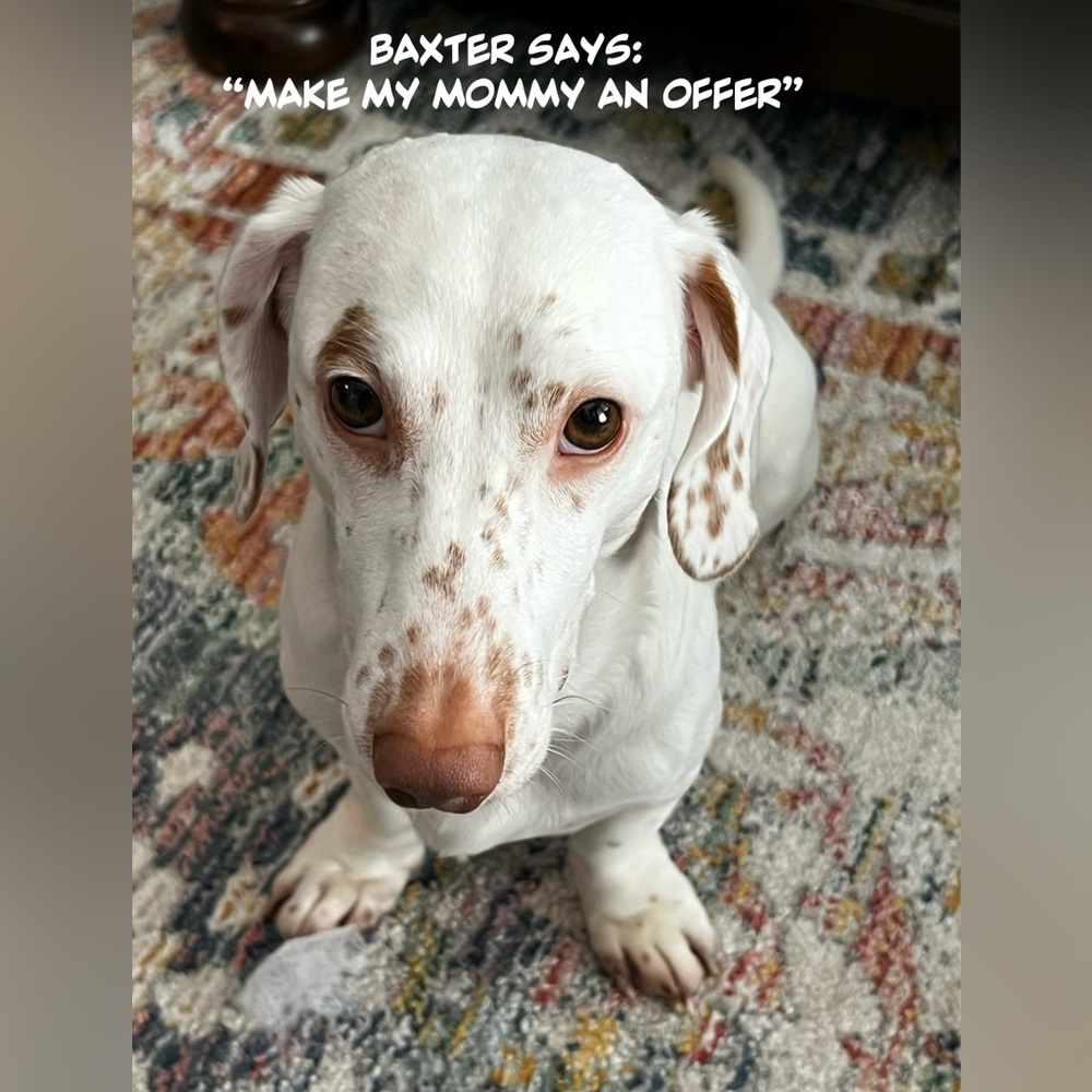 Meet your Posher, Lisa V